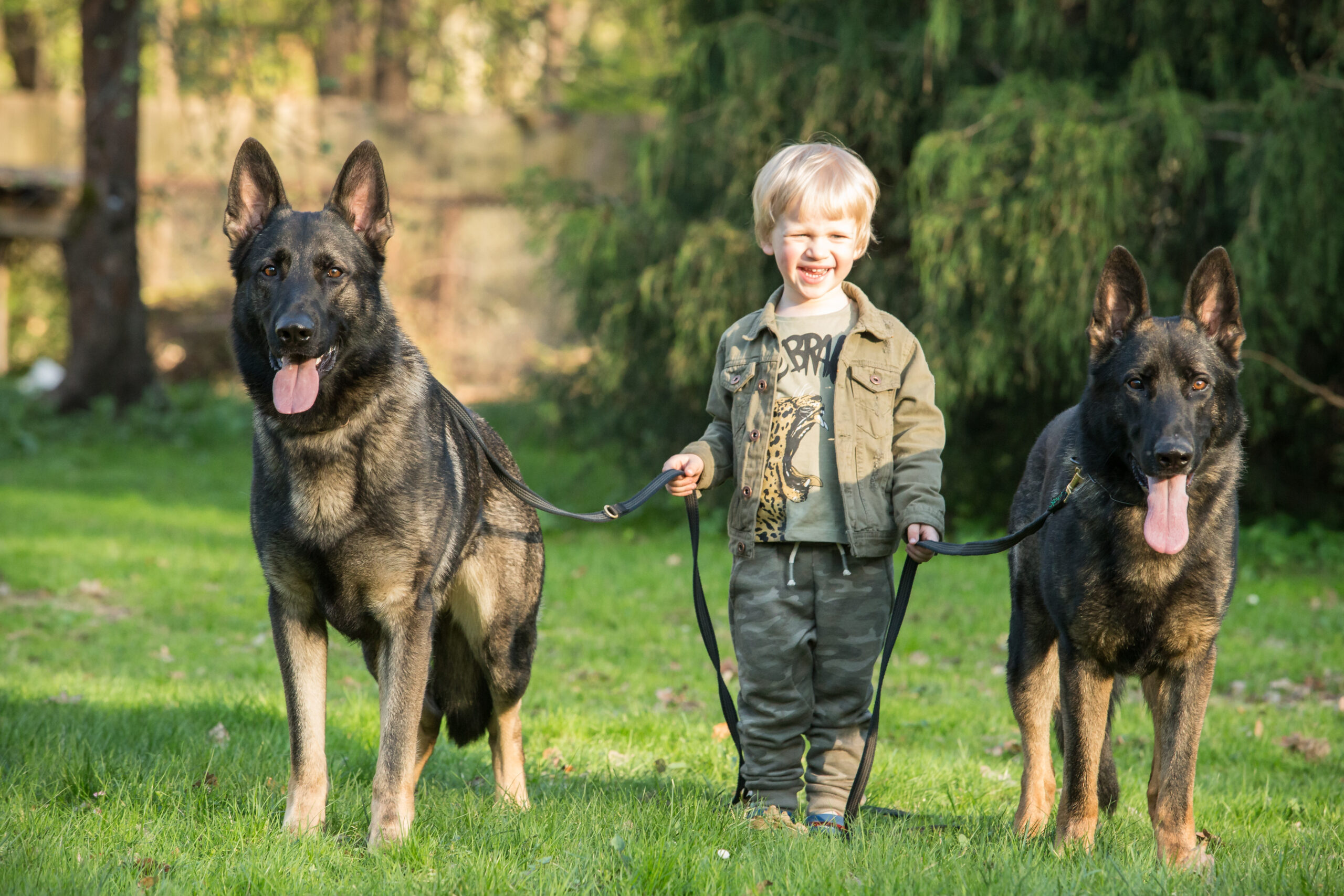 Young Boy with Dogs